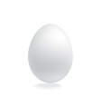Blank eggs design template vector image