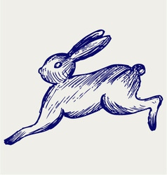 Running hare vector image