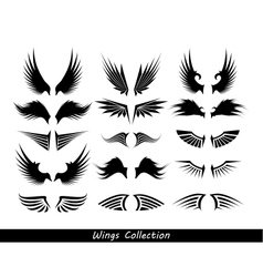 Wings collection set of wings vector image