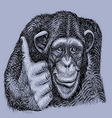 Chimpanzee drawing vector image