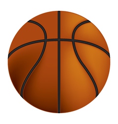Basketball vector image