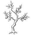 Vintage lemon tree vector image