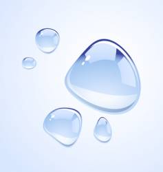 Water drops vector image