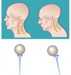 Neck spine vector image