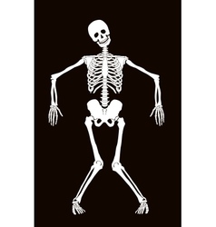 Skeleton practicing yoga Royalty Free Vector Image