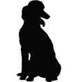 Poodle Silhouette vector image