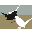 Crow vector image