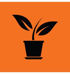Plant in flower pot icon Plant in flower pot icon vector image