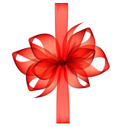 Red transparent bow and ribbon top view Red transparent bow and ribbon top view vector image