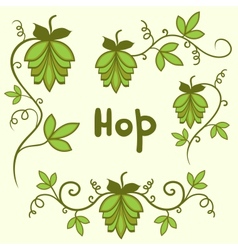 Stylized hops set vector image