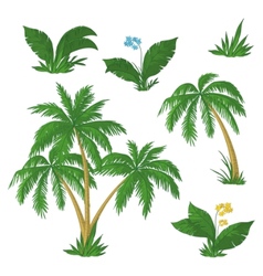 Palm trees flowers and grass vector image