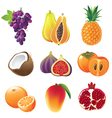 Highly detailed fruits icons set vector image
