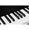 Piano keys background vector image