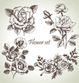 Floral set hand drawn of roses vector image
