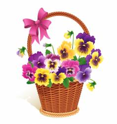 Pansies vector image