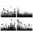 Grass silhouettes set vector image