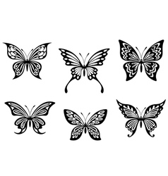 Black butterfly tattoos vector image