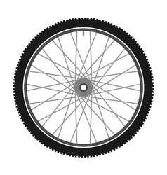 Isolated Bicycle Wheel vector image