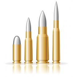 Set of bullets vector image
