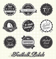 Football Champion Labels And Icons vector image