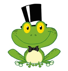 Frog Groom vector image