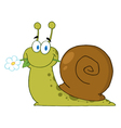 Snail With A Flower In Its Mouth vector image