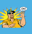 The bearded male and gesture okay vector image