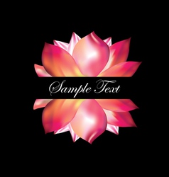 Pink lotus on black background vector image