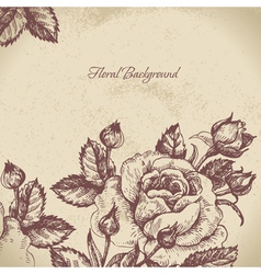Floral background with roses vector image