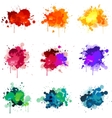 Paint splat s vector image