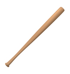 Baseball Bat vector image