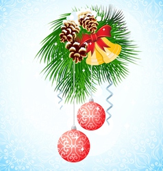 Branch of Christmas tree vector image