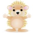 porcupine cartoon vector image