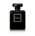 Perfume print black bottle haute couture Perfume print black bottle haute couture vector image