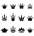 Set of crowns vector image