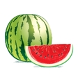 Tasty fresh watermelon vector image