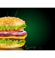 Steaming cheeseburger background vector image