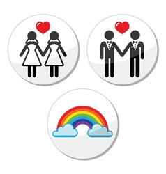 Gay lesbian marriage rainbow icons set vector image