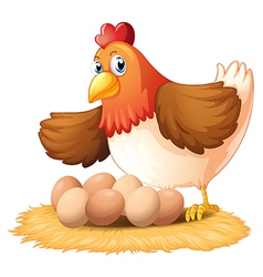 A hen and her seven eggs vector image