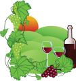Wine yard Wine yard vector image