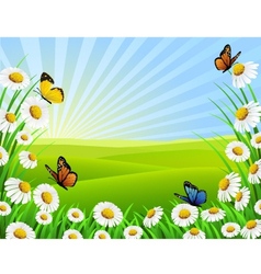 Beautiful nature vector image