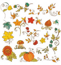 Set of decorative Autumn branches leaves vector image