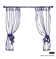 Curtains vector image