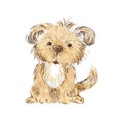 Dog isolated vector image