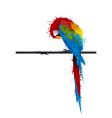 Parrot graffiti vector image