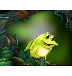 A frog at the rainforest vector image