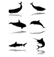 Marine animals vector image