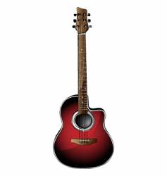 Classic acoustic guitar Royalty Free Vector Image