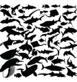Fish silhouettes vector image
