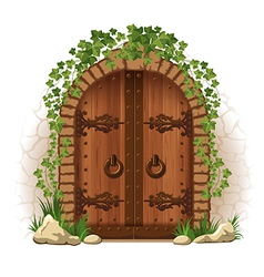 Wooden door with ivy vector image